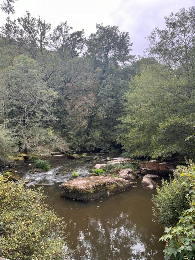 Gite Les Pieds Dans L'Eau 10 Min Du Puy Du Fo Treize-Vents エクステリア 写真